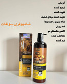 شامپو لاتنس