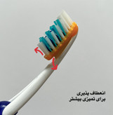 مسواک و خمیردندان